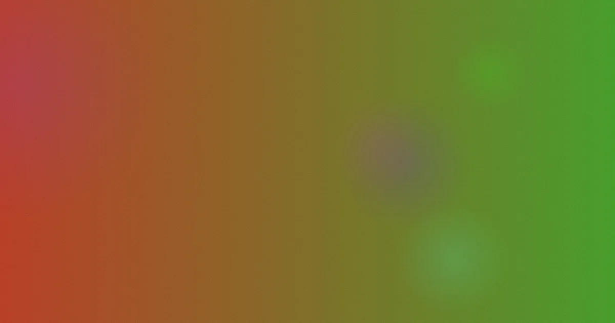 特区爱奴对比：一次选片复盘